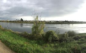 Nid Douillet Bord De Loire